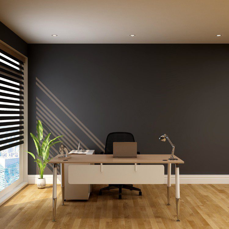 Painting services in San Francisco, CA